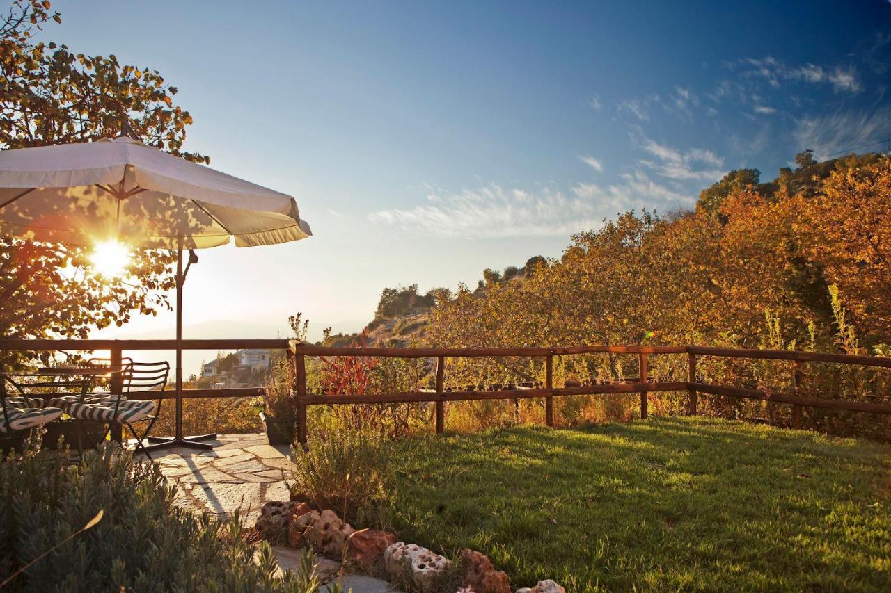 Pelion Homes Agios Georgios Nileias Extérieur photo